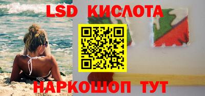 шишки Можга