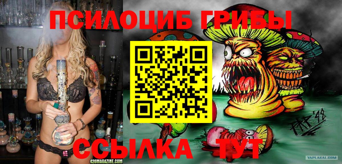 Галлюциногенные грибы Psilocybe  Вход с VPN  Усолье-Сибирское 